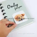 Customizable Discbound Notebook for Transparent Poly Cover